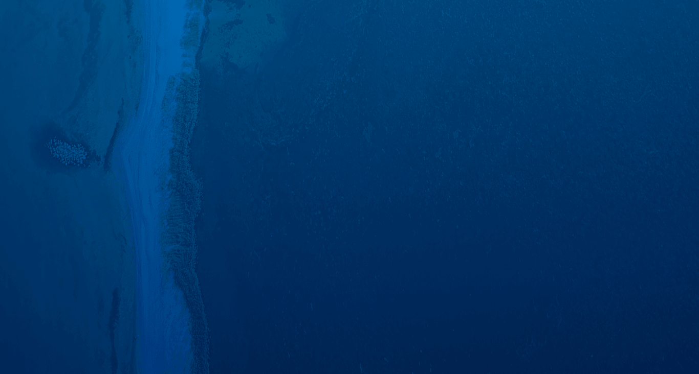 backgrounds